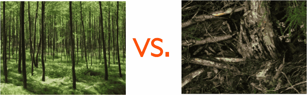 managed versus unmanaged forests