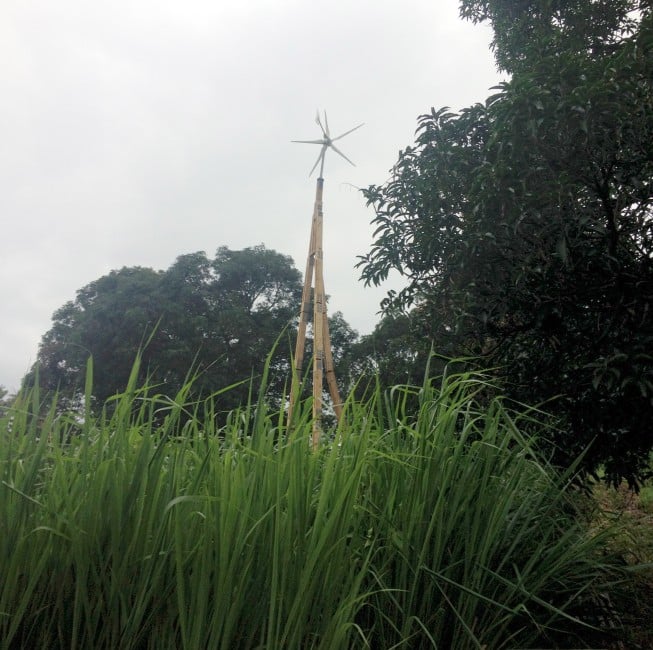 Dali PowerTower Lite and the grass